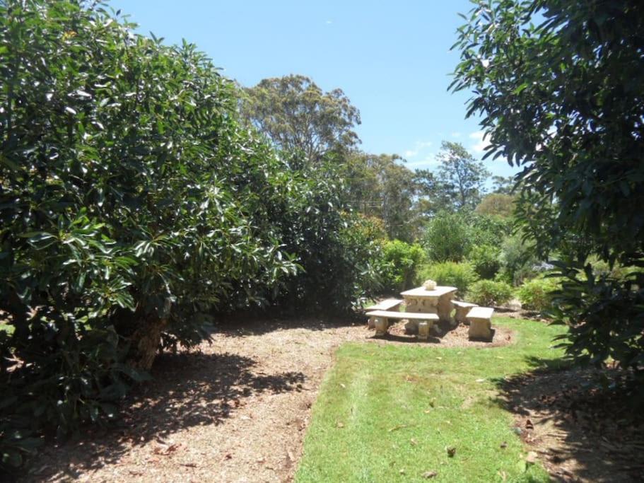 Moonya Avocado Farm Cottage - With Early Check-In Mount Tamborine Exterior foto